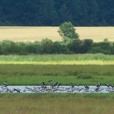 3 Bedroom Awesome In Hébergement de vacances Postomino