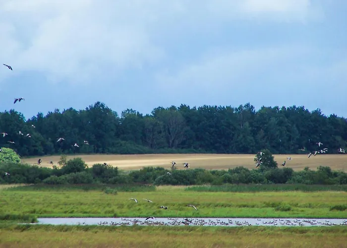 3 Bedroom Awesome In Сasa de vacaciones *